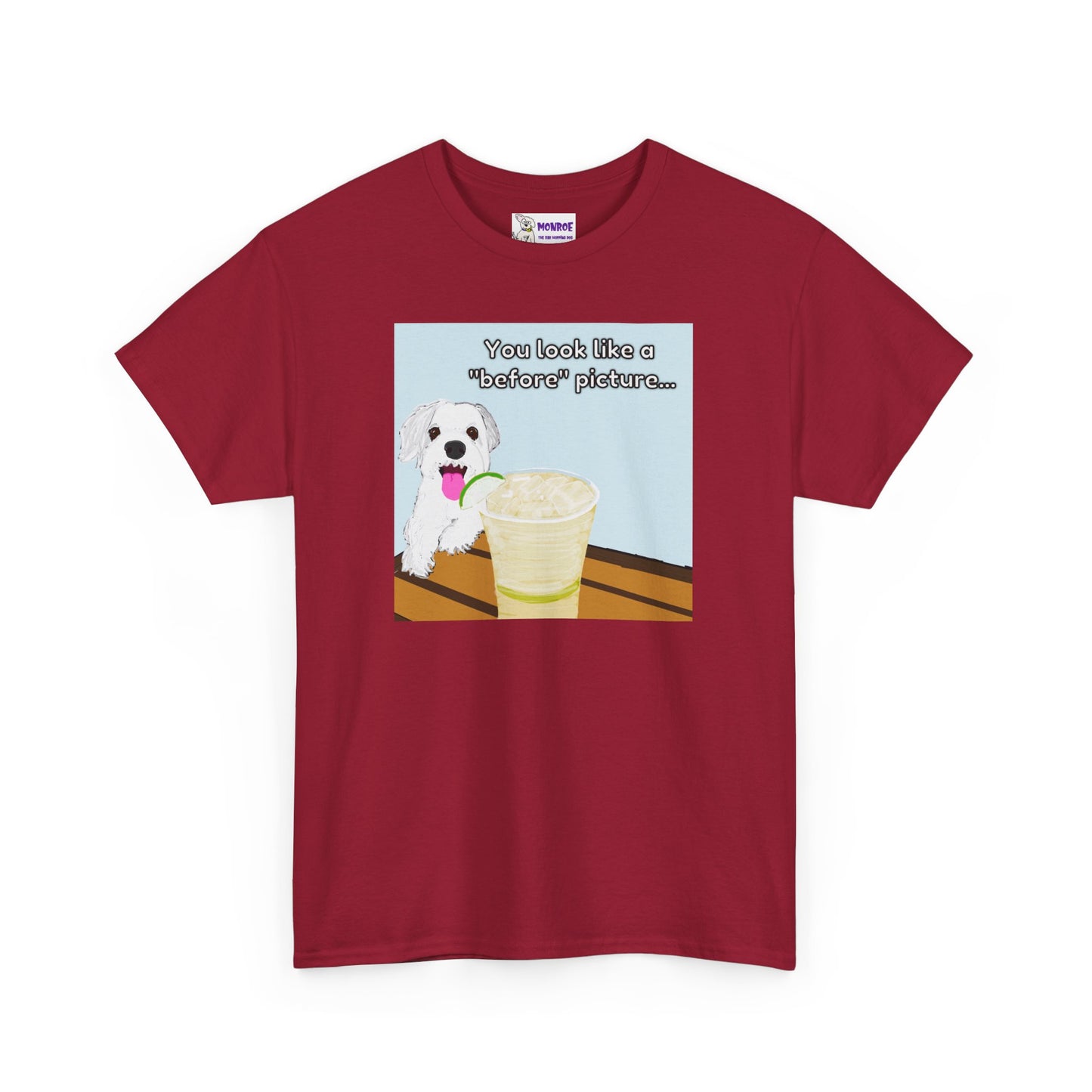 Funny Dog Lover Insult Tee - You Look Like A “Before” Picture