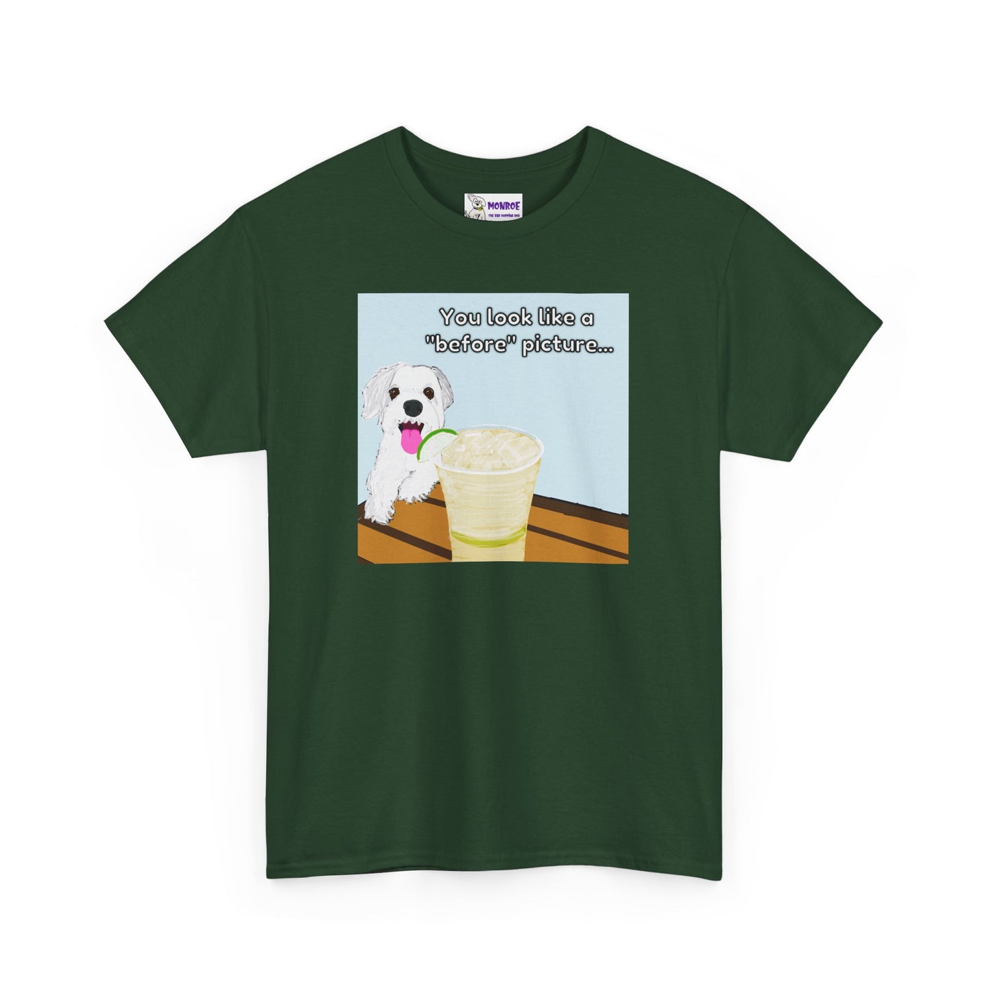 Funny Dog Lover Insult Tee - You Look Like A “Before” Picture