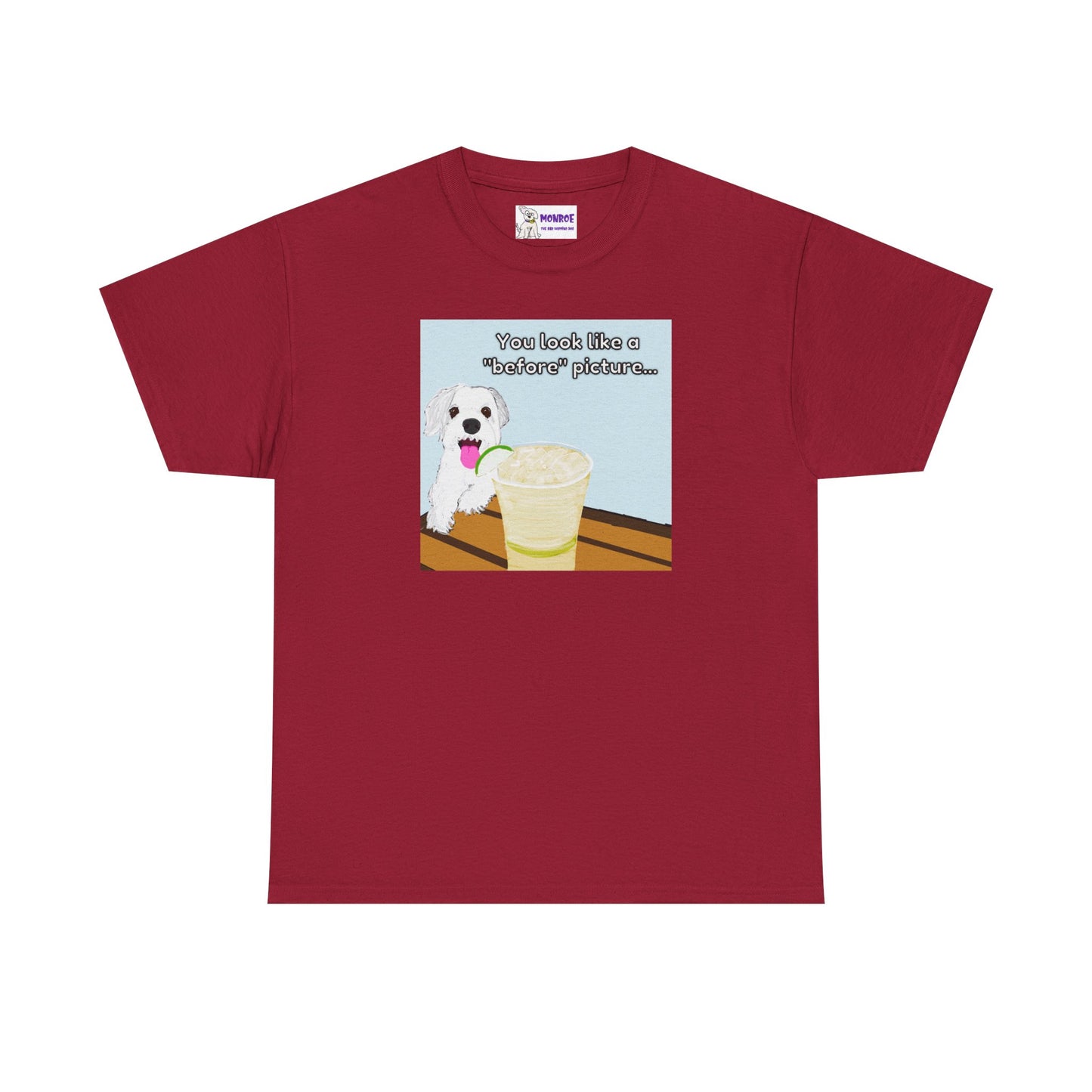 Funny Dog Lover Insult Tee - You Look Like A “Before” Picture
