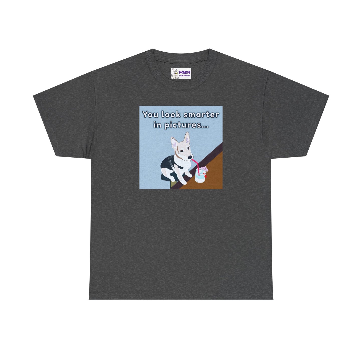 Whimsical Dog Insult T-Shirt - You Look Smarter in Pictures