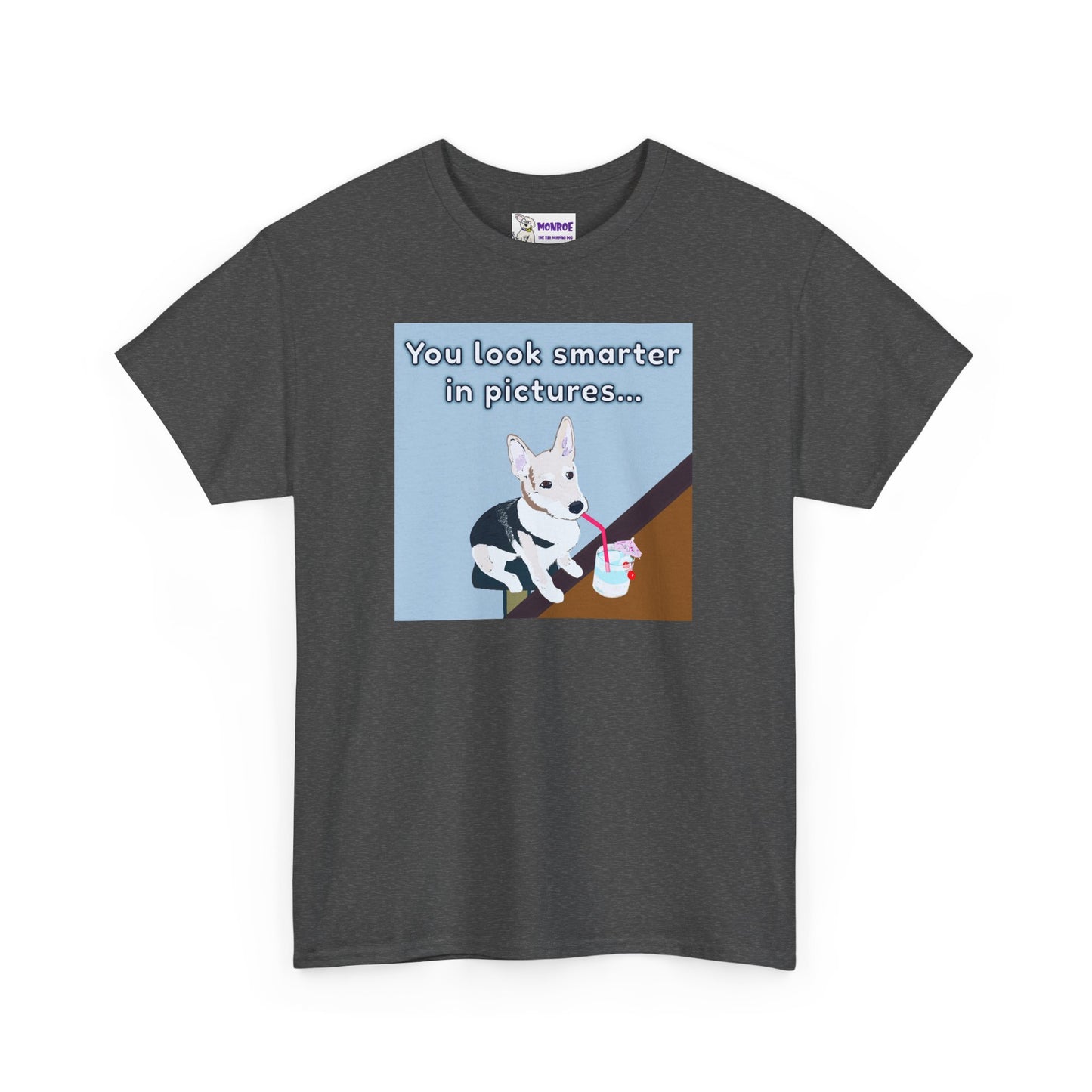 Whimsical Dog Insult T-Shirt - You Look Smarter in Pictures