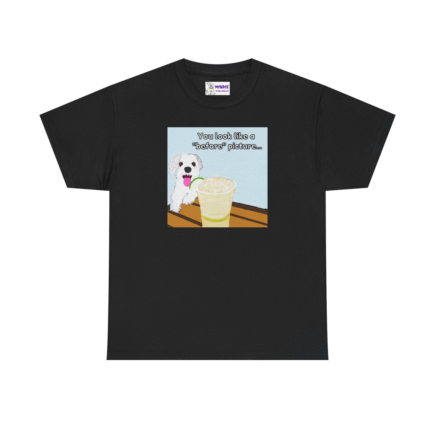 Funny Dog Lover Insult Tee - You Look Like A “Before” Picture