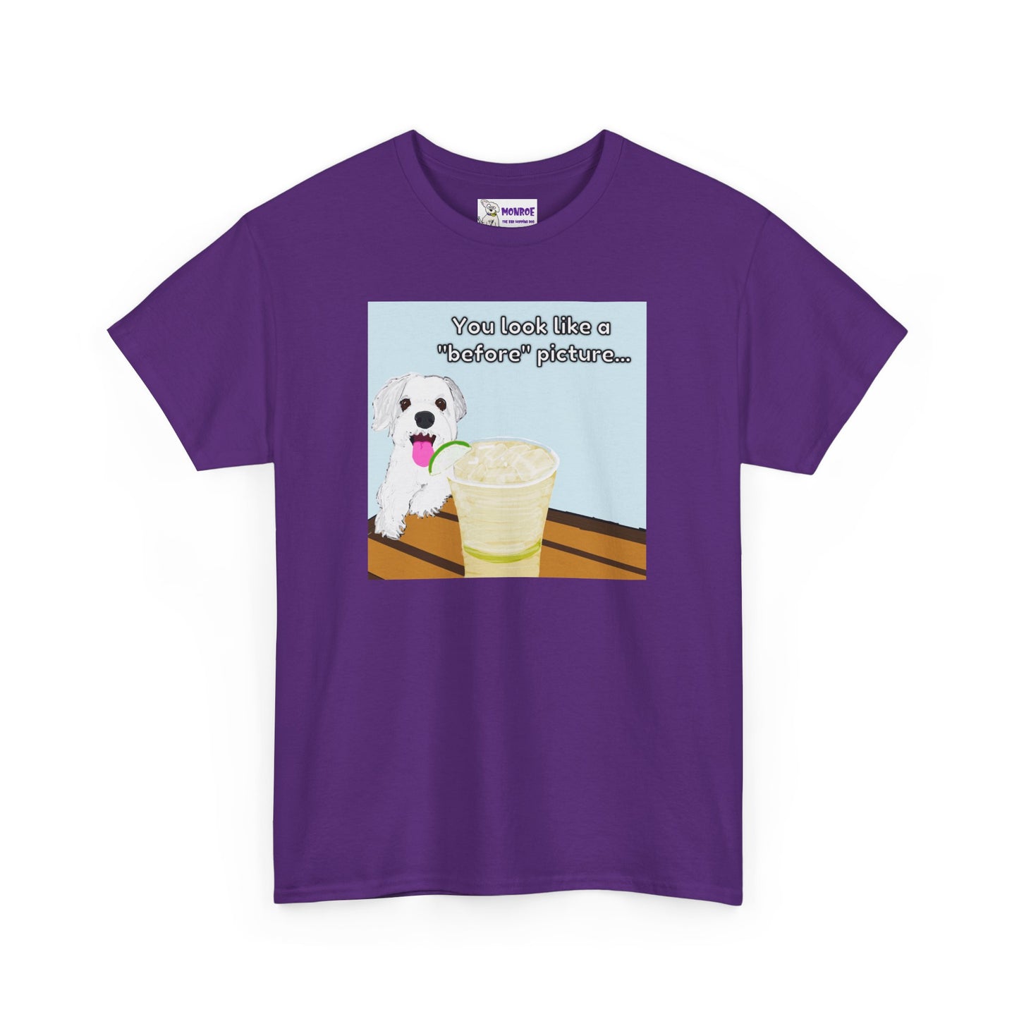 Funny Dog Lover Insult Tee - You Look Like A “Before” Picture