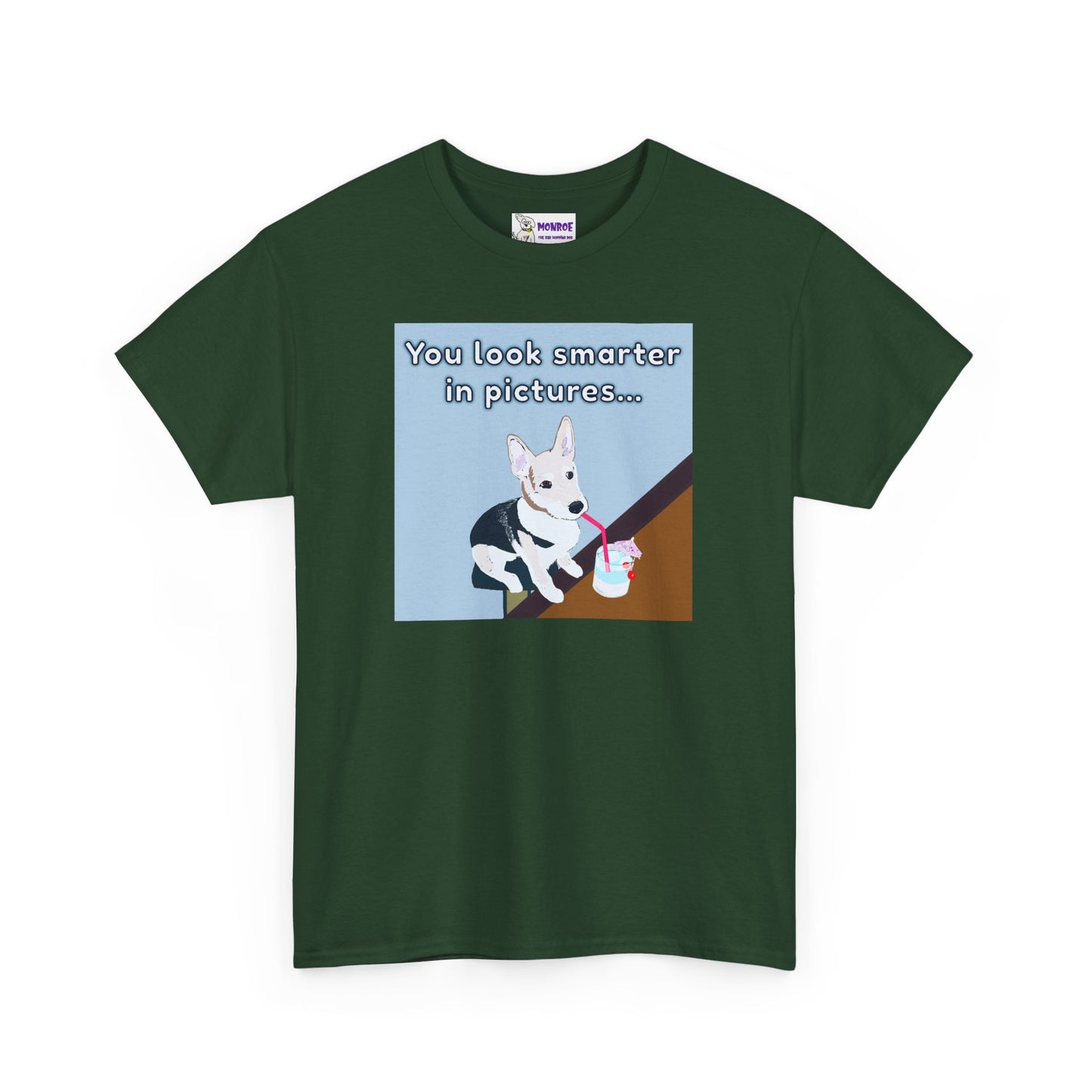 Whimsical Dog Insult T-Shirt - You Look Smarter in Pictures
