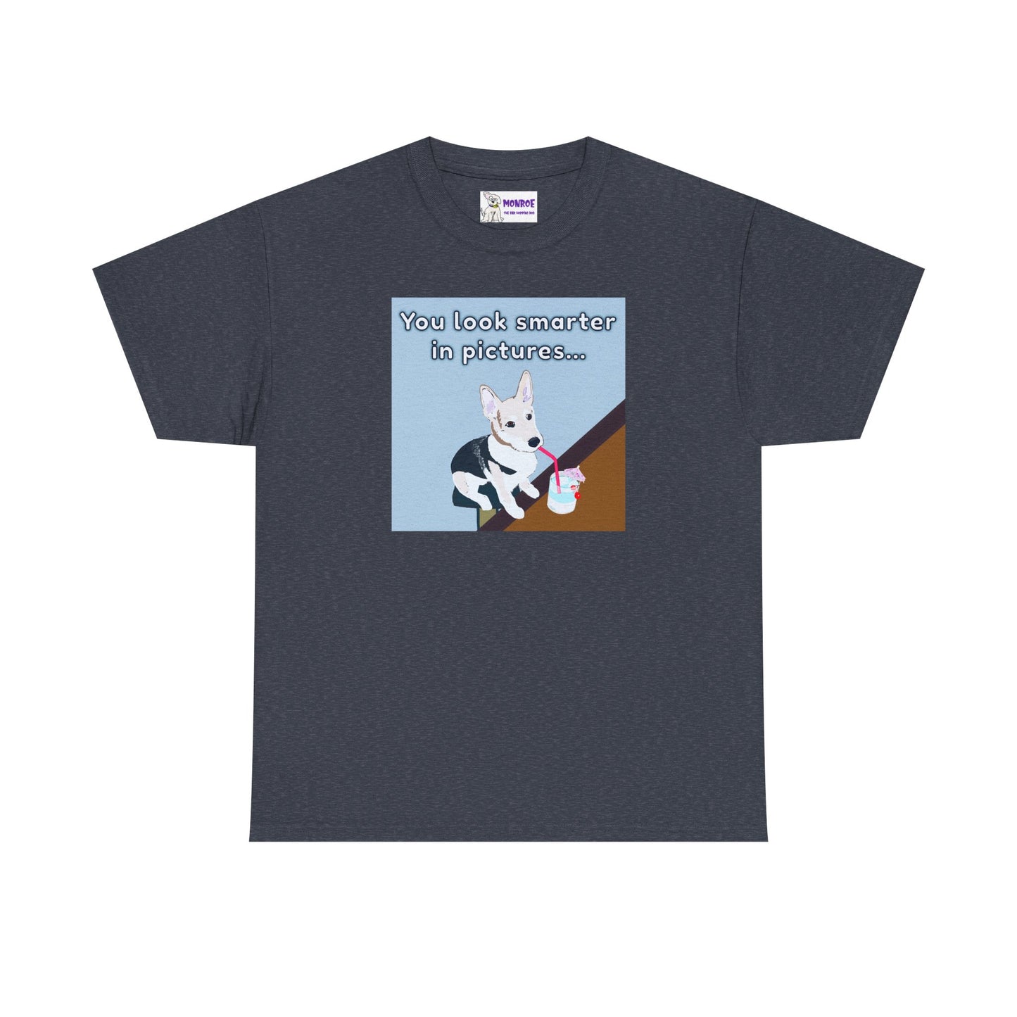 Whimsical Dog Insult T-Shirt - You Look Smarter in Pictures