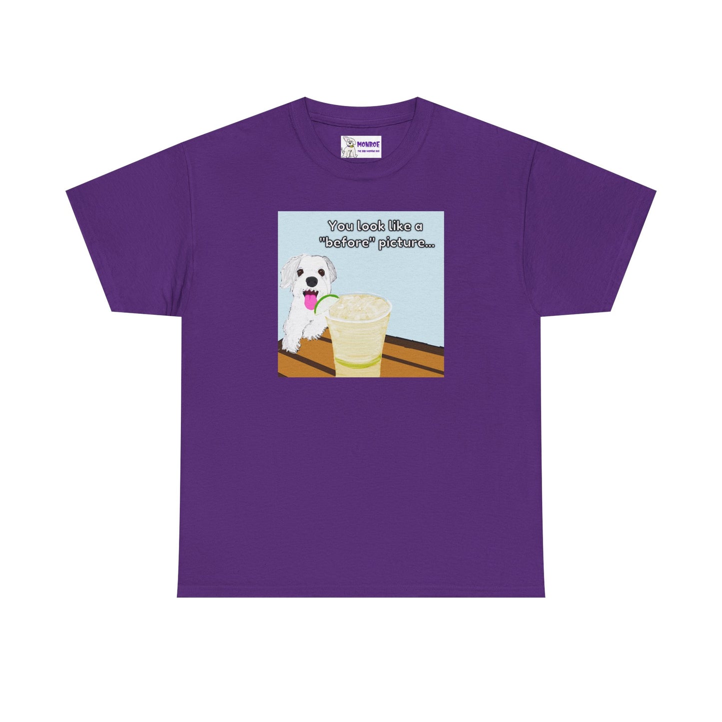Funny Dog Lover Insult Tee - You Look Like A “Before” Picture