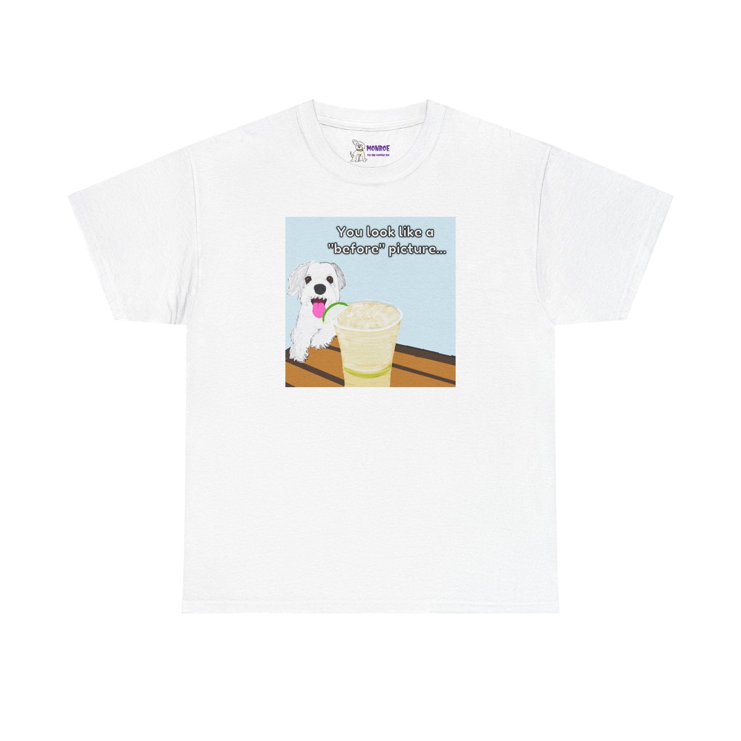 Funny Dog Lover Insult Tee - You Look Like A “Before” Picture