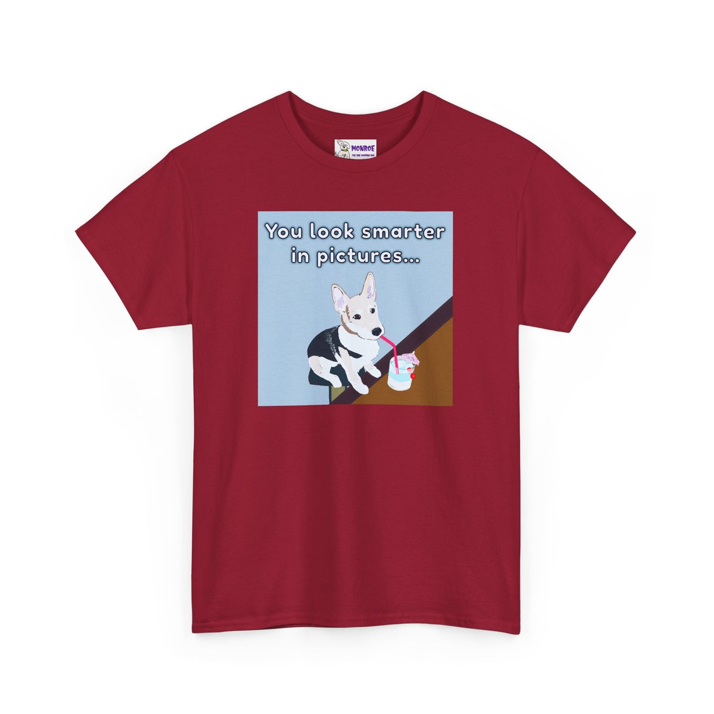 Whimsical Dog Insult T-Shirt - You Look Smarter in Pictures
