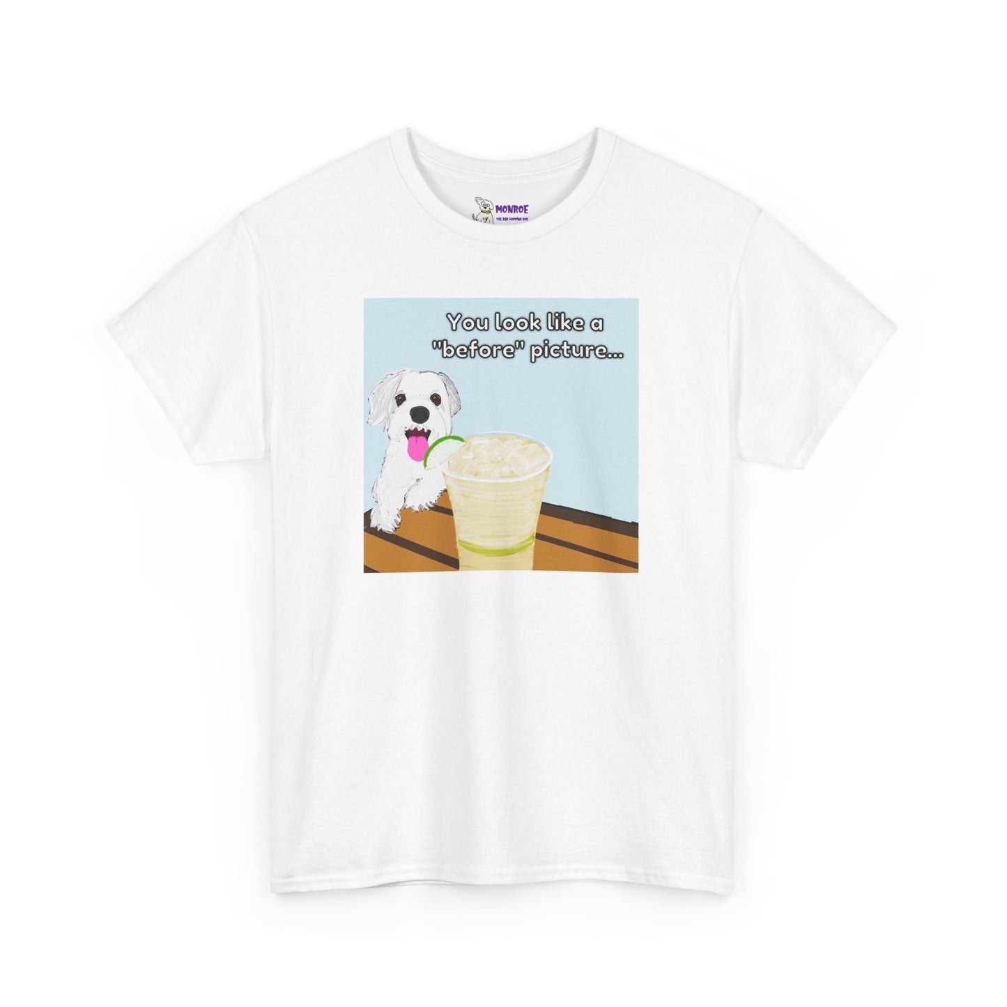 Funny Dog Lover Insult Tee - You Look Like A “Before” Picture