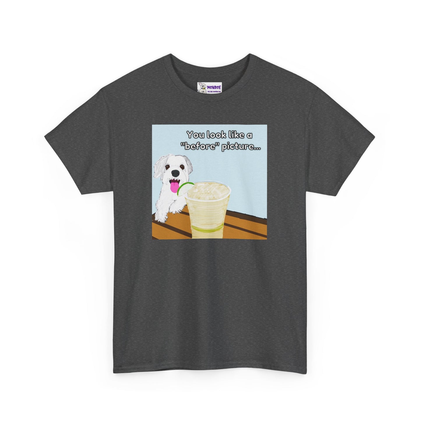 Funny Dog Lover Insult Tee - You Look Like A “Before” Picture