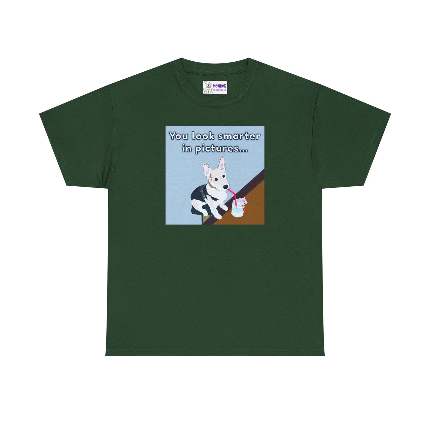 Whimsical Dog Insult T-Shirt - You Look Smarter in Pictures
