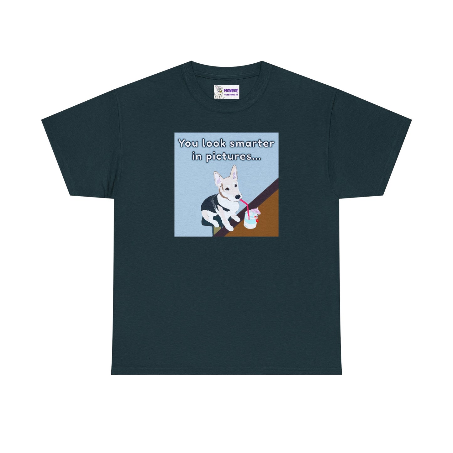 Whimsical Dog Insult T-Shirt - You Look Smarter in Pictures