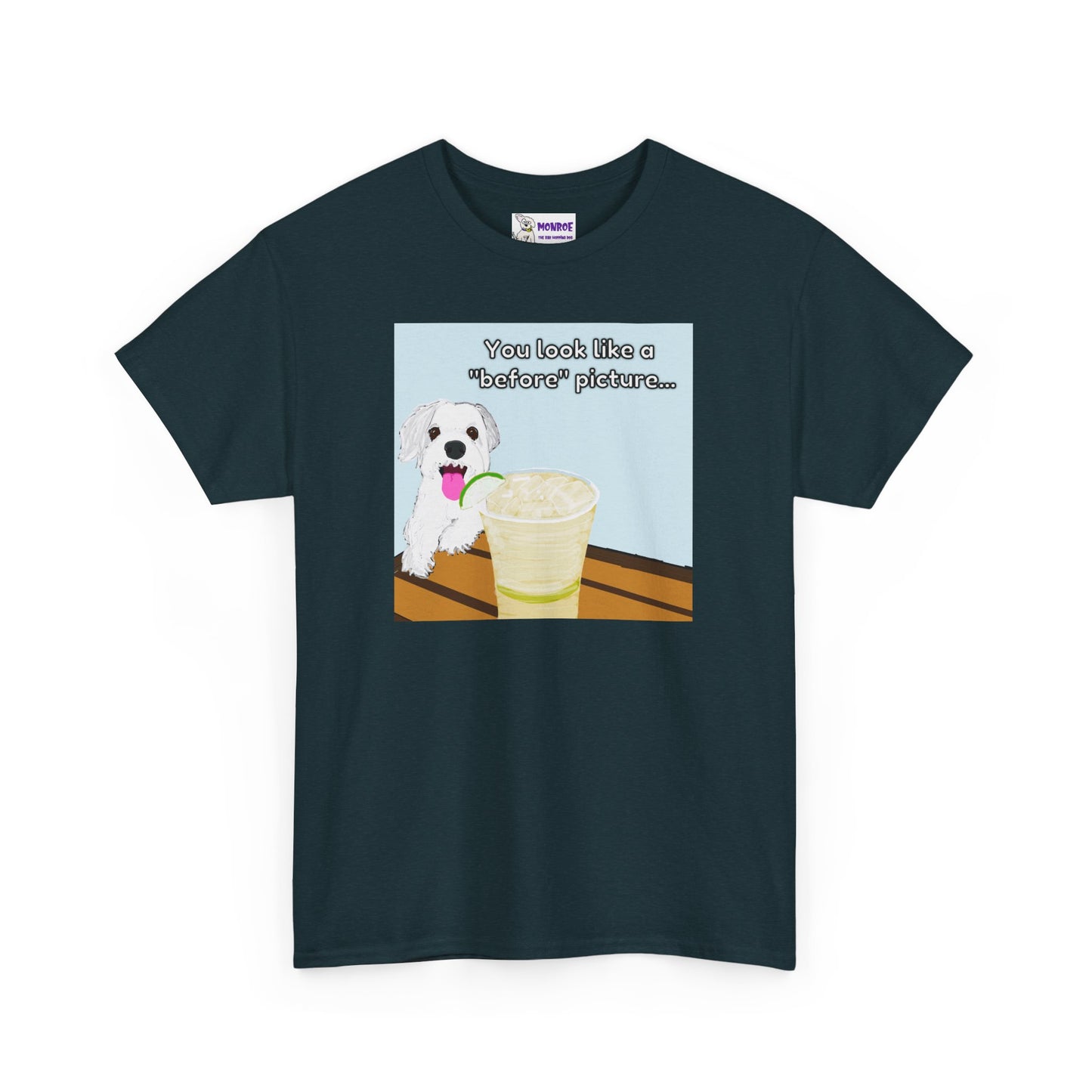 Funny Dog Lover Insult Tee - You Look Like A “Before” Picture