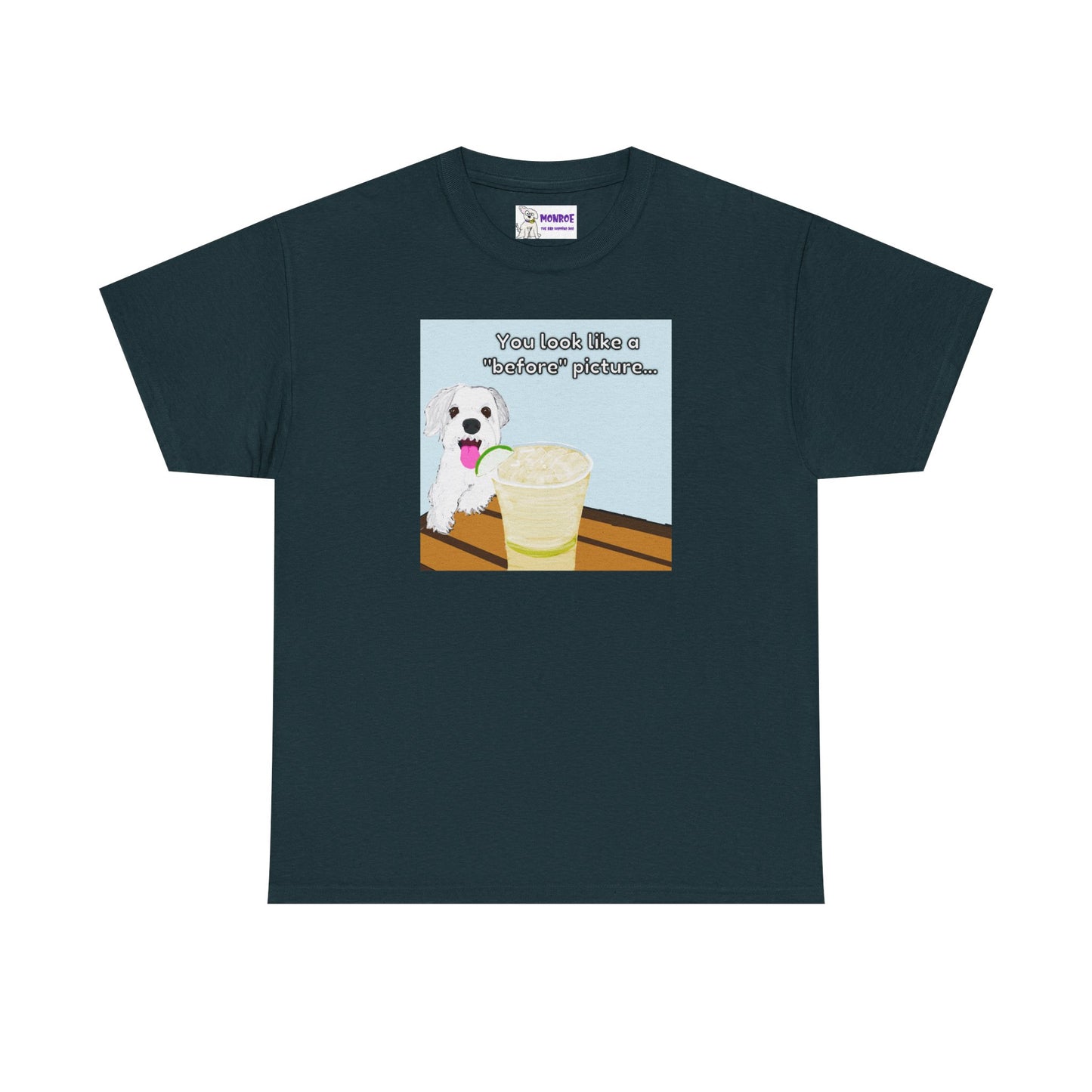 Funny Dog Lover Insult Tee - You Look Like A “Before” Picture