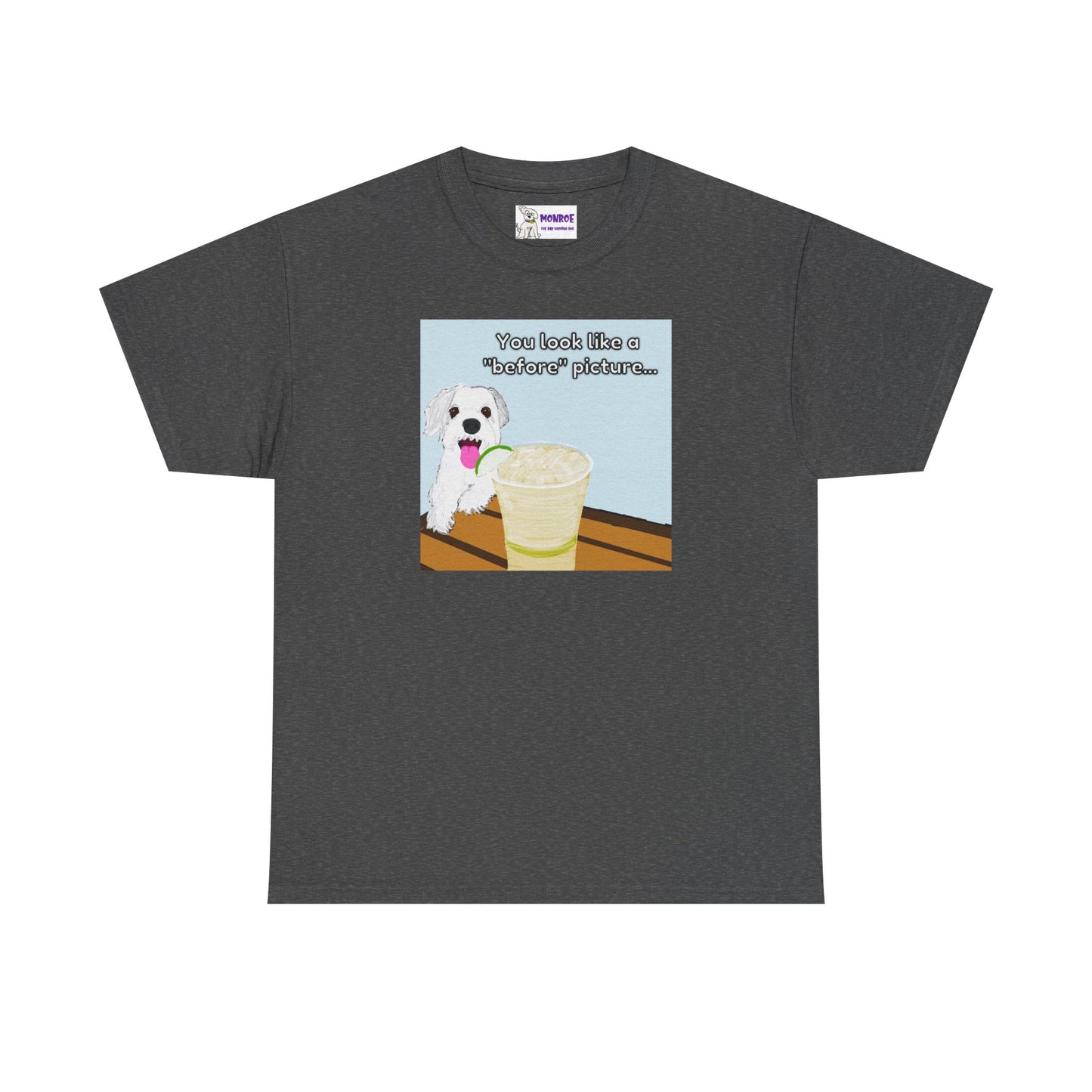 Funny Dog Lover Insult Tee - You Look Like A “Before” Picture