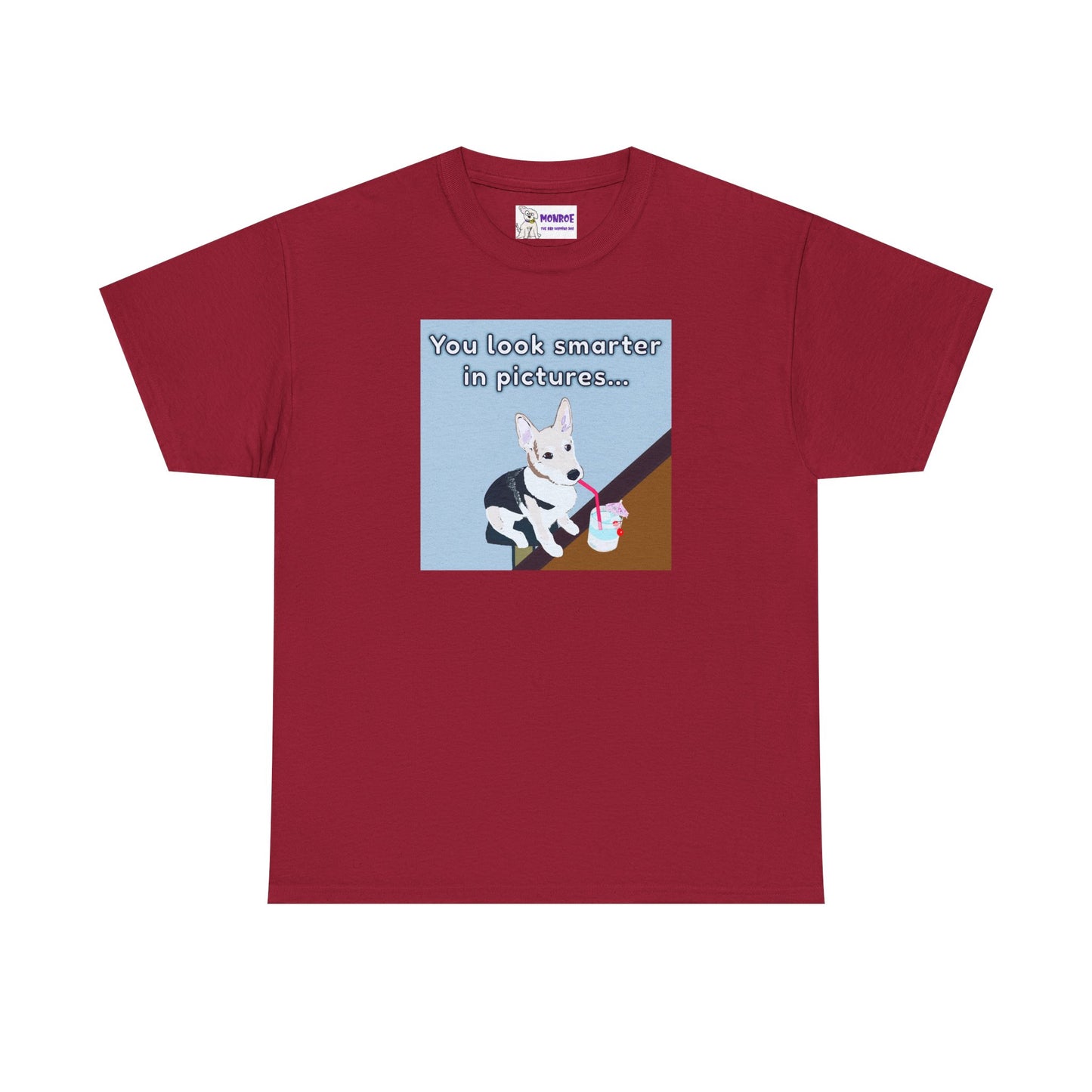 Whimsical Dog Insult T-Shirt - You Look Smarter in Pictures