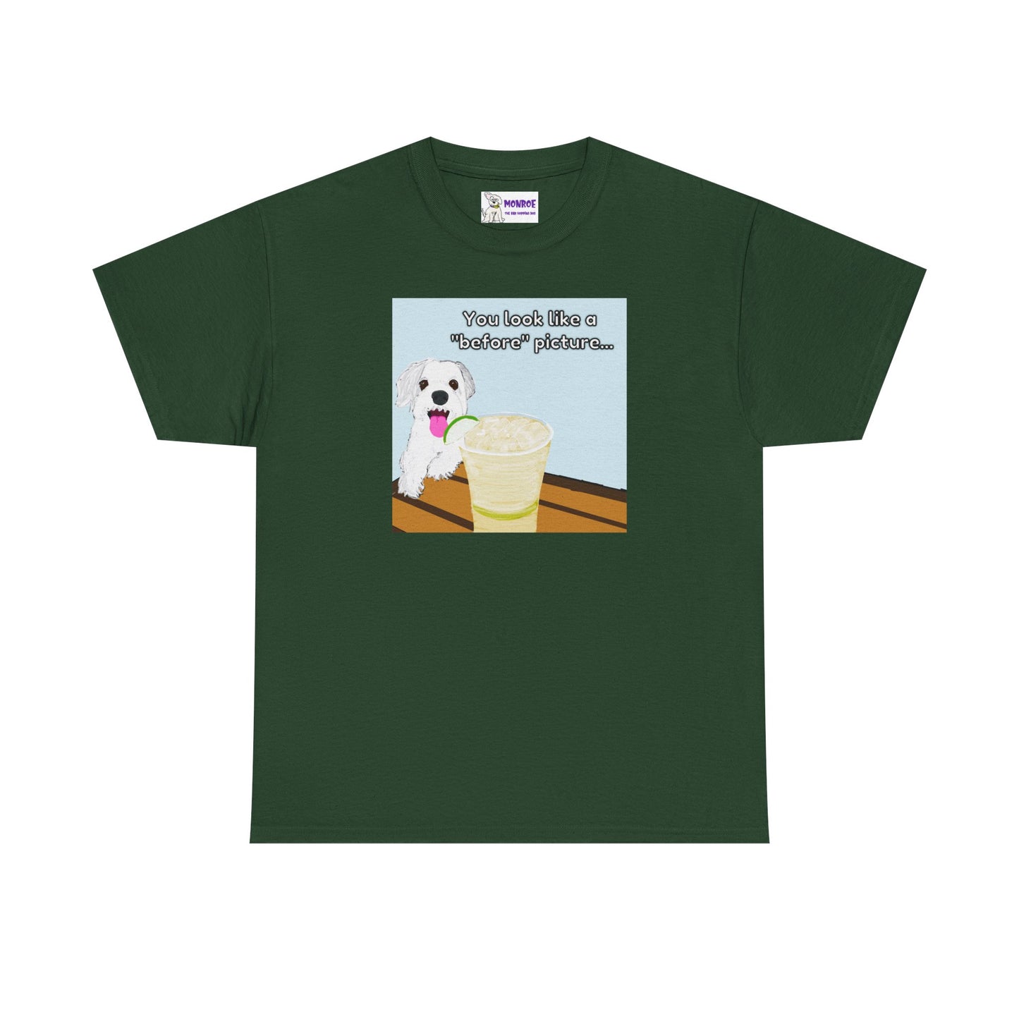 Funny Dog Lover Insult Tee - You Look Like A “Before” Picture