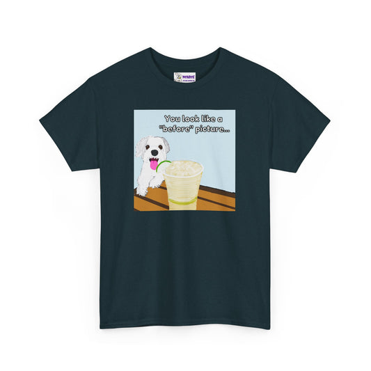 Funny Dog Lover Insult Tee - You Look Like A “Before” Picture